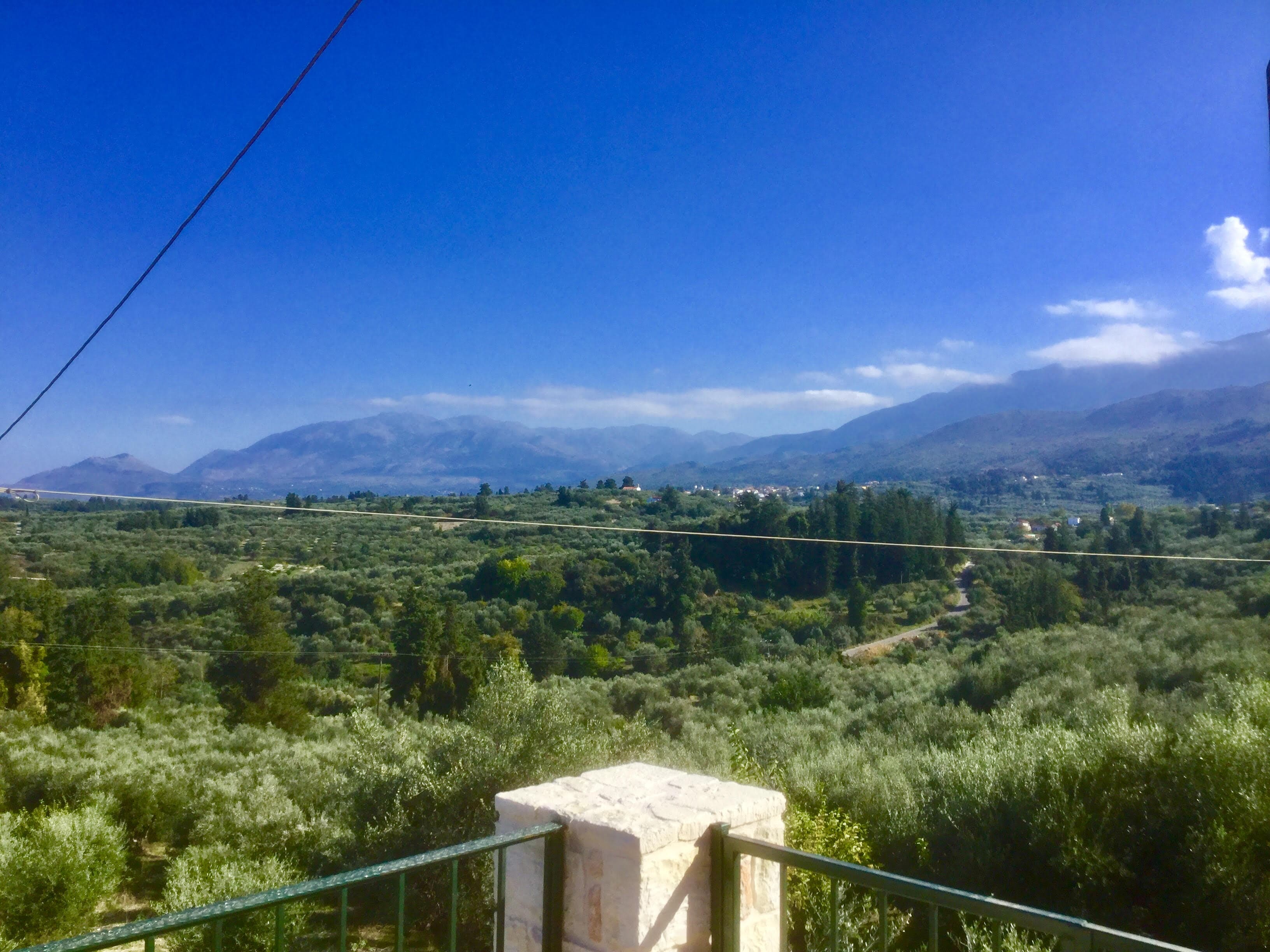 View from the terrace